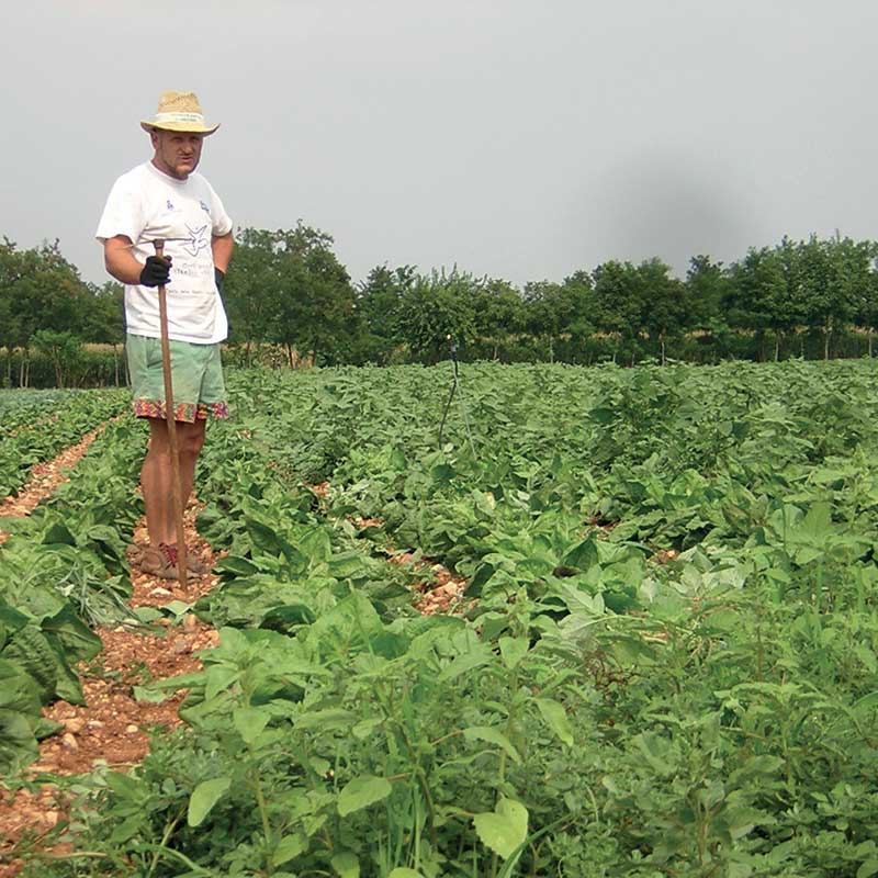 Azienda Agricola Berti Claudio