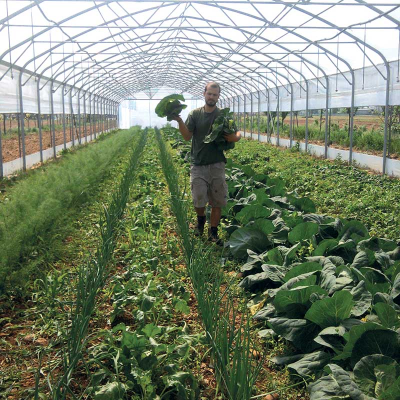 Azienda Agricola Feltrin Daniel